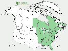 U.S. distribution of Cornus alternifolia